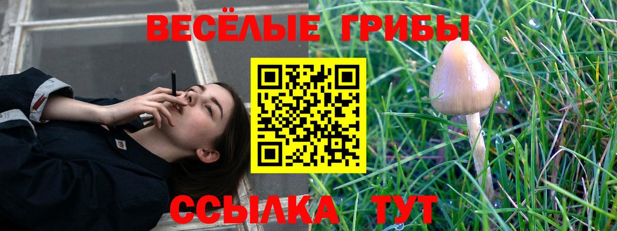 Галлюциногенные грибы мухоморы Кизляр